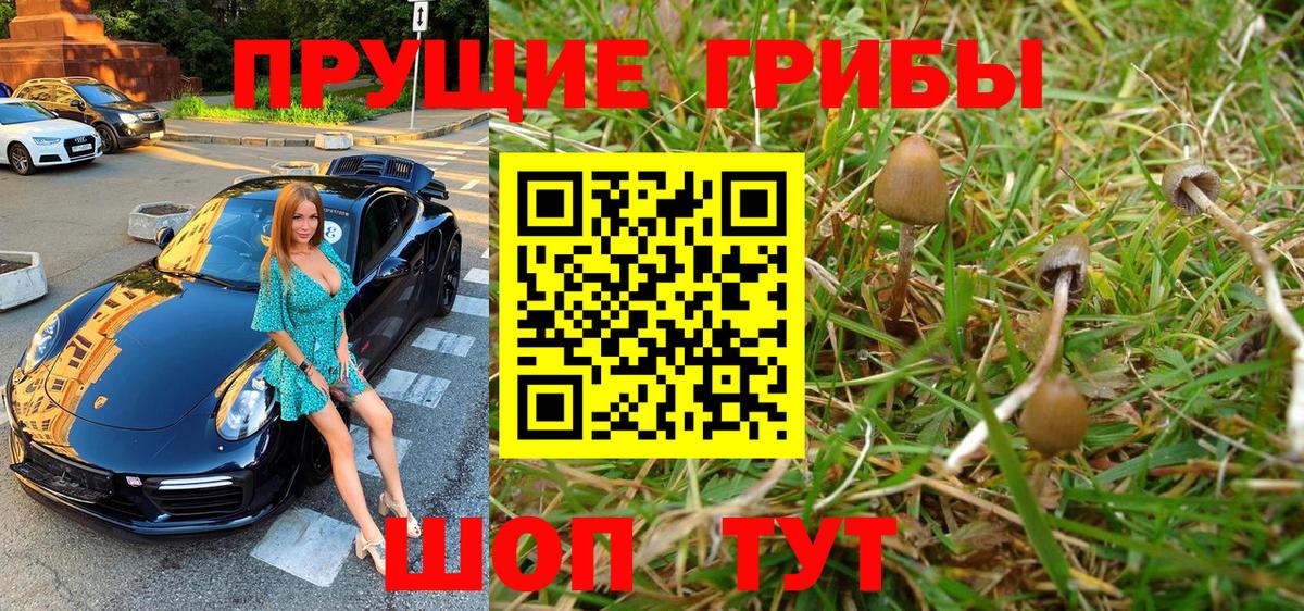 Великий Устюг  Псилоцибиновые грибы Psilocybe  Вход с VPN  Псилоцибиновые грибы ЛСД 